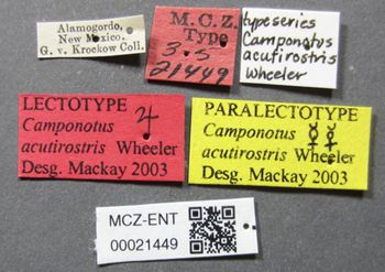 Media type: image;   Entomology 21449 Aspect: labels
